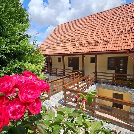 Matei Residence Brasov Ngoại thất bức ảnh