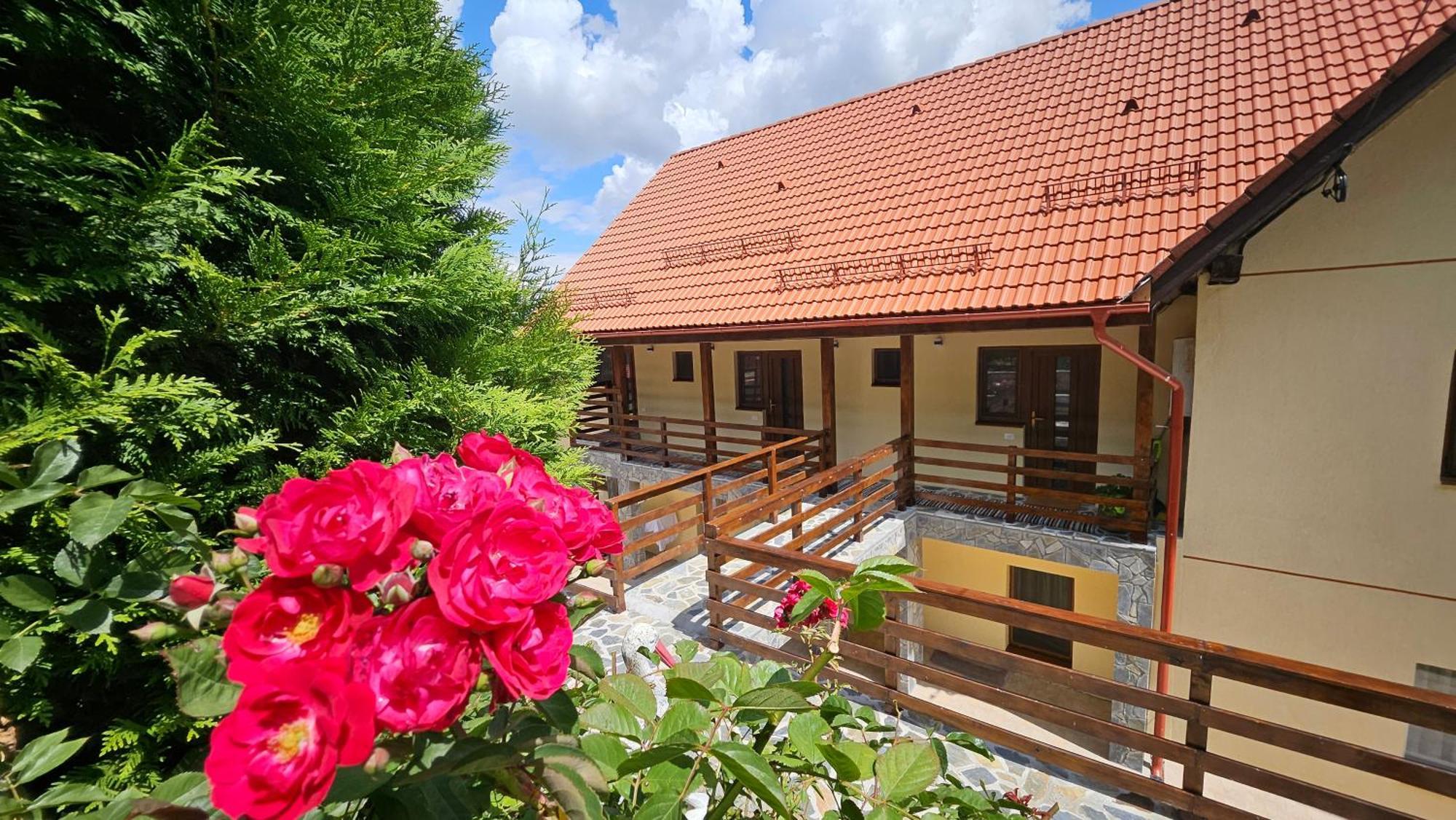 Matei Residence Brasov Ngoại thất bức ảnh