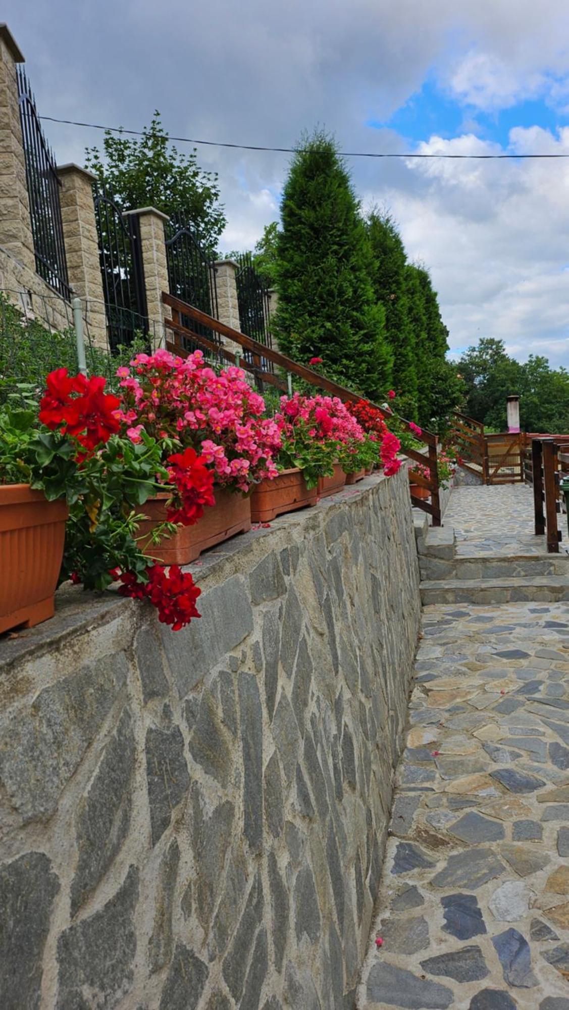 Matei Residence Brasov Ngoại thất bức ảnh