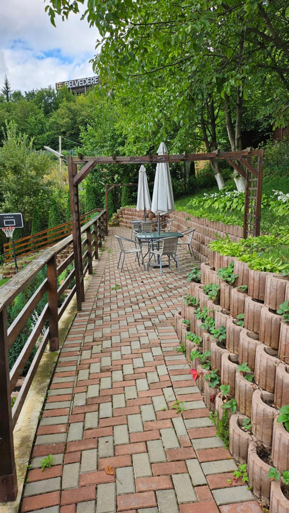 Matei Residence Brasov Ngoại thất bức ảnh